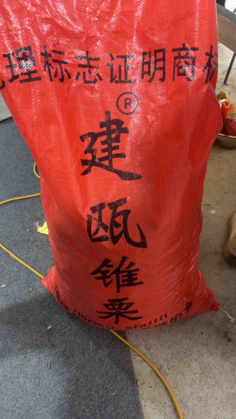 建瓯高山锥栗扁锥栗，板栗糖炒板栗，扁栗子，糖炒锥栗