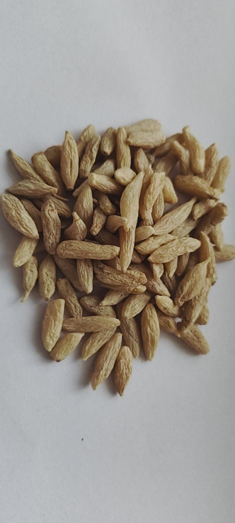 中药材麦冬别名：麦门冬，寸麦冬，沿阶草一件代发，量大从优