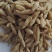 中药材麦冬别名：麦门冬，寸麦冬，沿阶草一件代发，量大从优