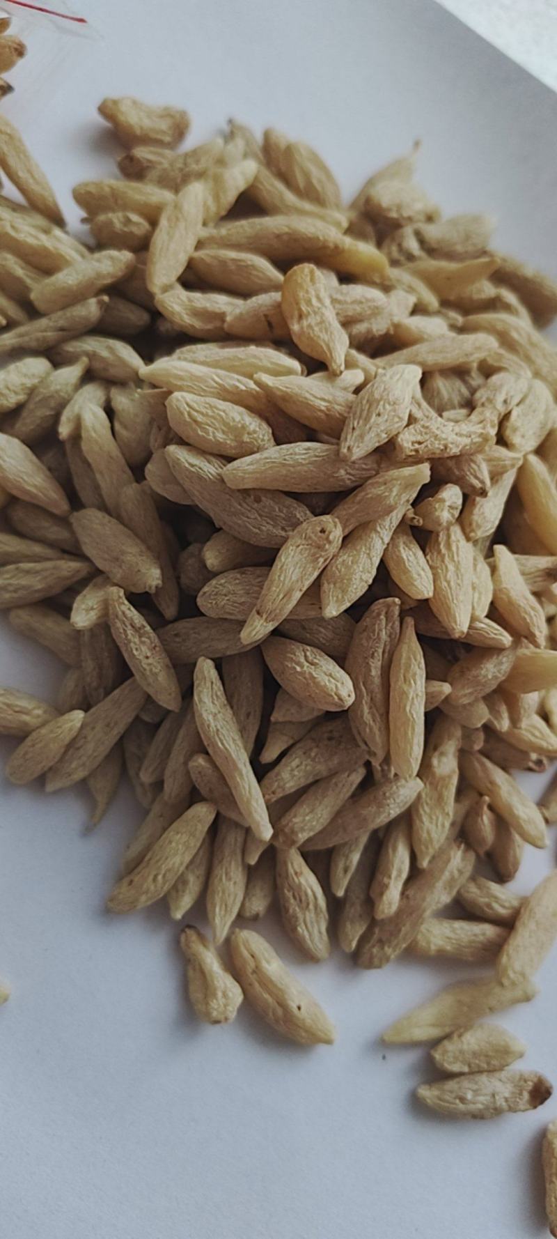 中药材麦冬别名：麦门冬，寸麦冬，沿阶草一件代发，量大从优