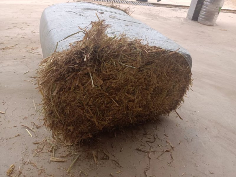 湖北干稻草，铡断风筛除尘小方包，厂家直出，全国供应