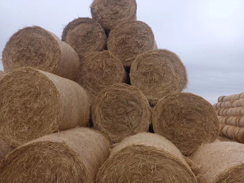湖北干稻草，铡断风筛除尘小方包，厂家直出，全国供应