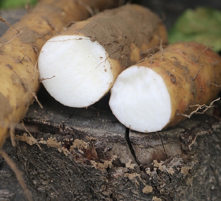 白玉山药烹饪示意图
