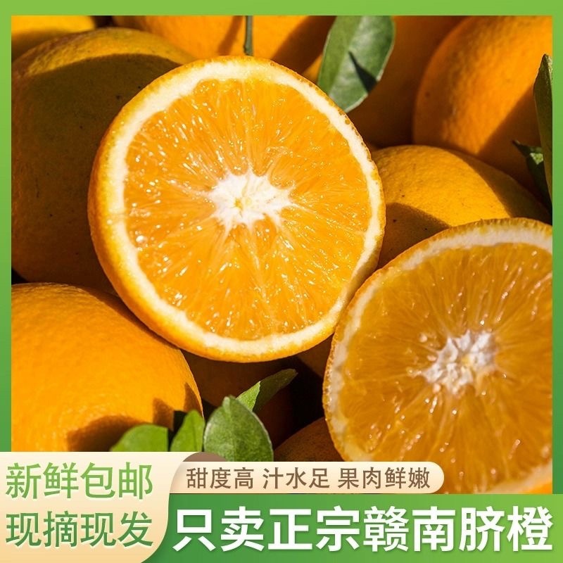 正宗赣南脐橙鲜嫩多汁个大饱满酸甜爽口质量保证