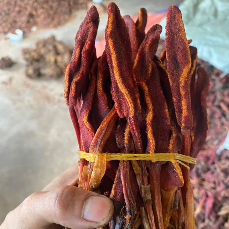 回春草