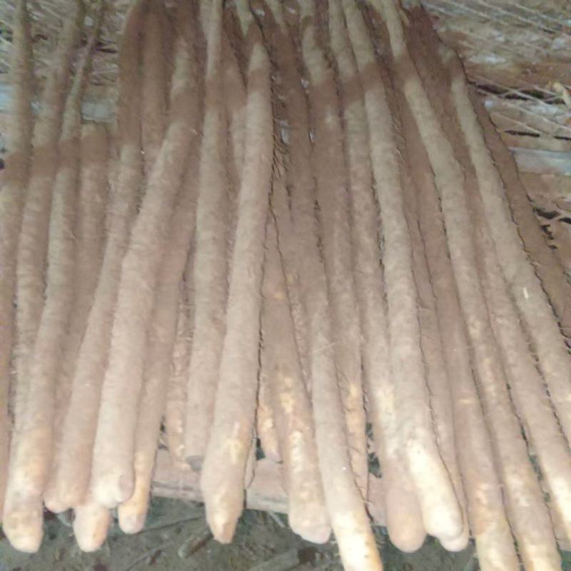 小白嘴白山药产地直发，质量有保障常年供应，代发全国