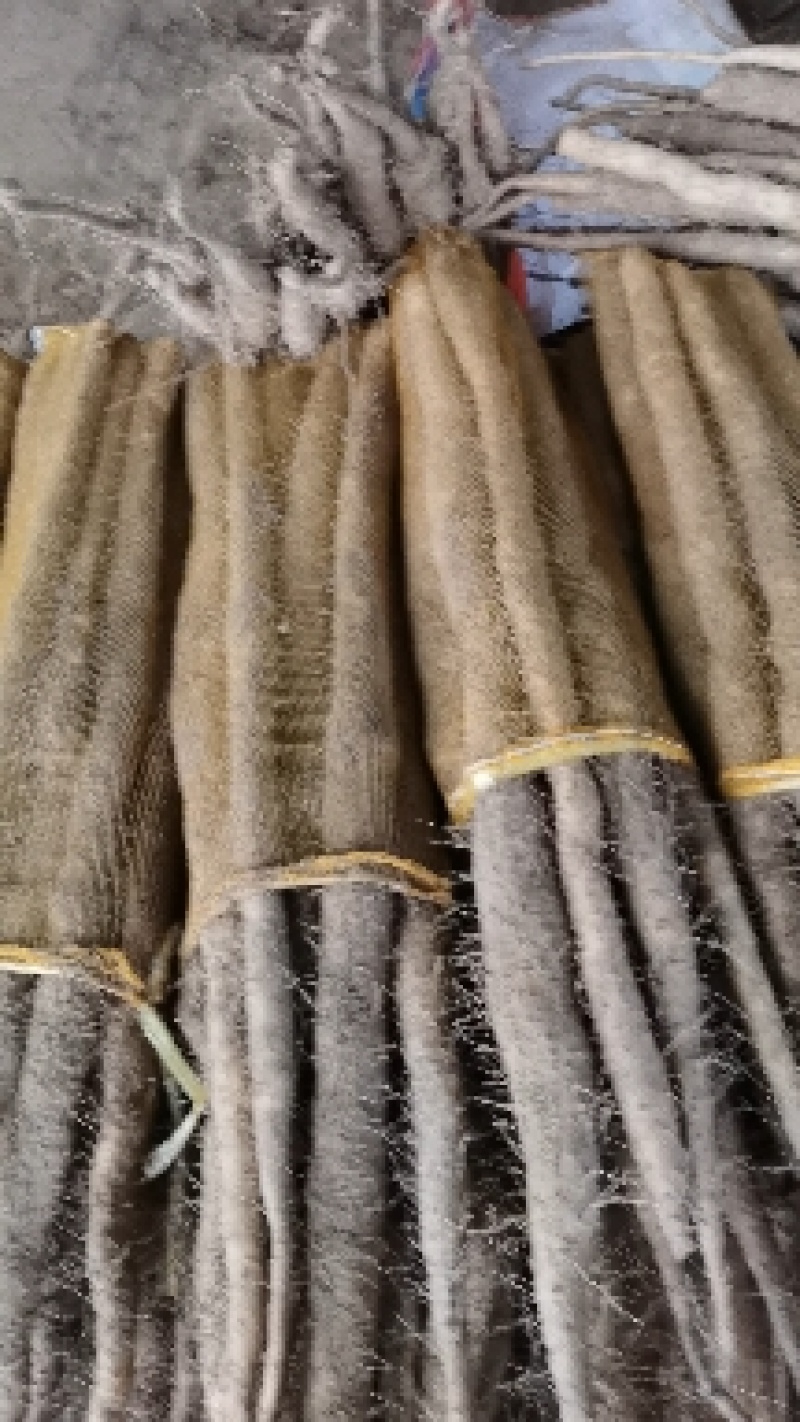 小白嘴白山药产地直发，质量有保障常年供应，代发全国