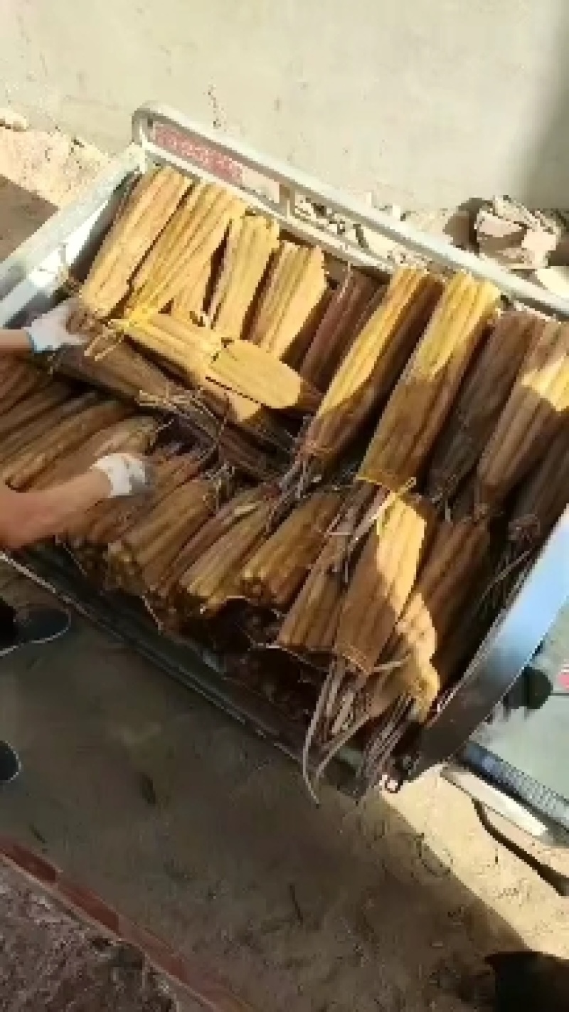 小白嘴白山药产地直发，质量有保障常年供应，代发全国