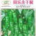 辣椒种子同乐余干椒