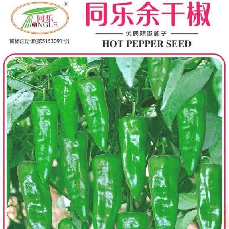 辣椒种子同乐余干椒