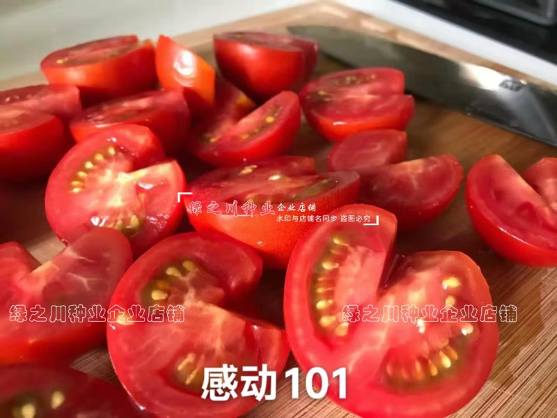 泰国进口樱桃番茄种子泷井桃太郎水果番茄种子糖度高深红色