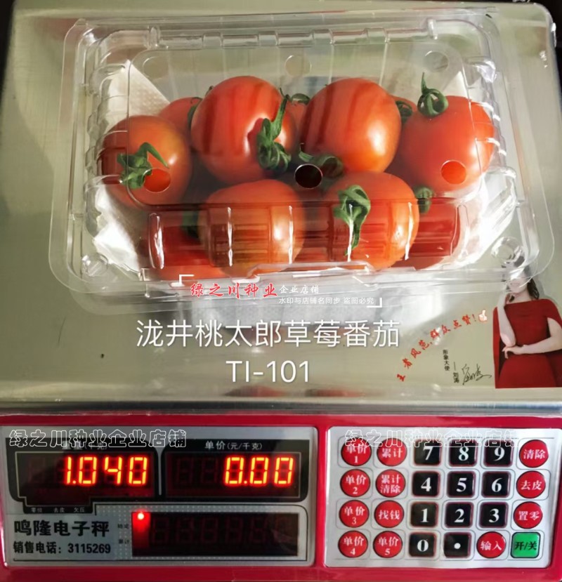 泰国进口樱桃番茄种子泷井桃太郎水果番茄种子糖度高深红色