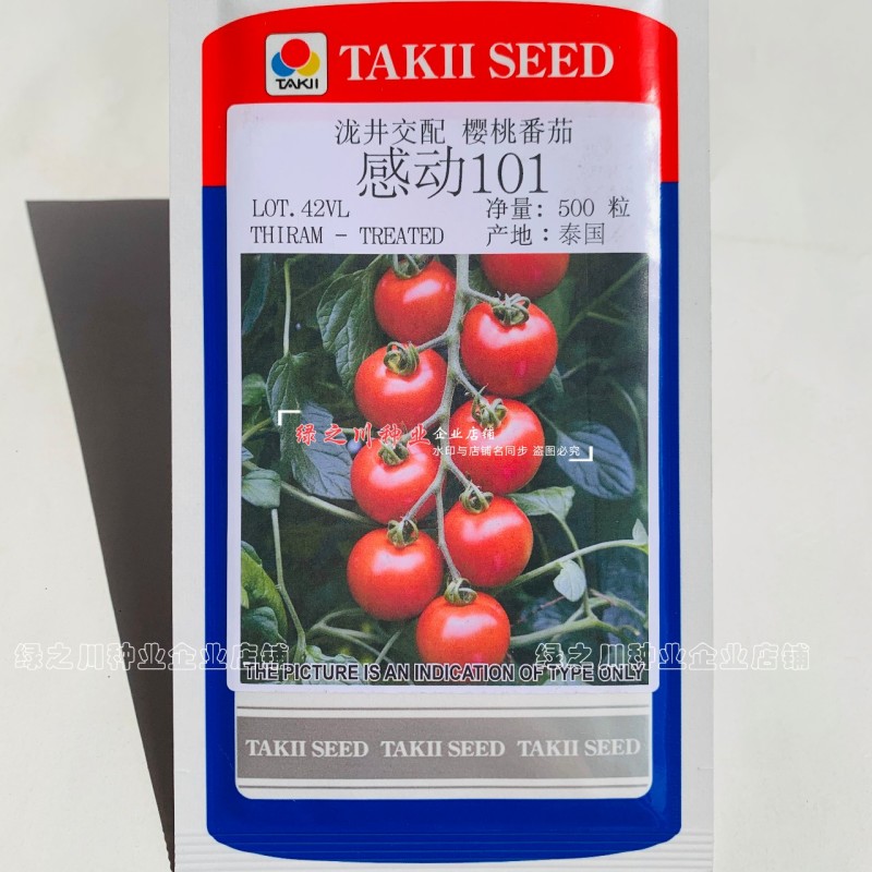 泰国进口樱桃番茄种子泷井桃太郎水果番茄种子糖度高深红色