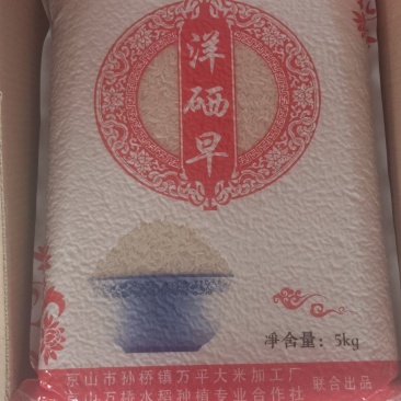 精品京山桥米洋硒早品质保证价格优惠欢迎下单品尝