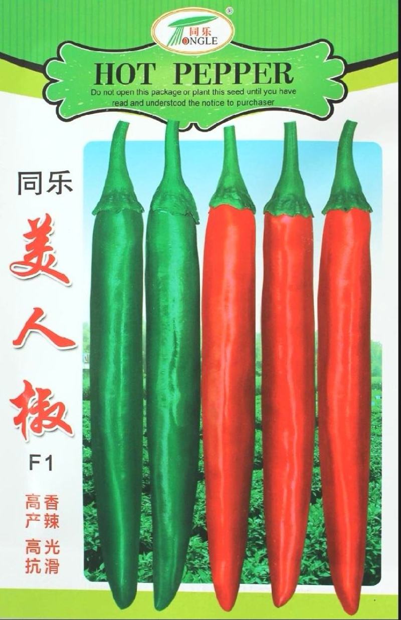 辣椒种子同乐美人椒大果美人椒连续结果性强抗病高产