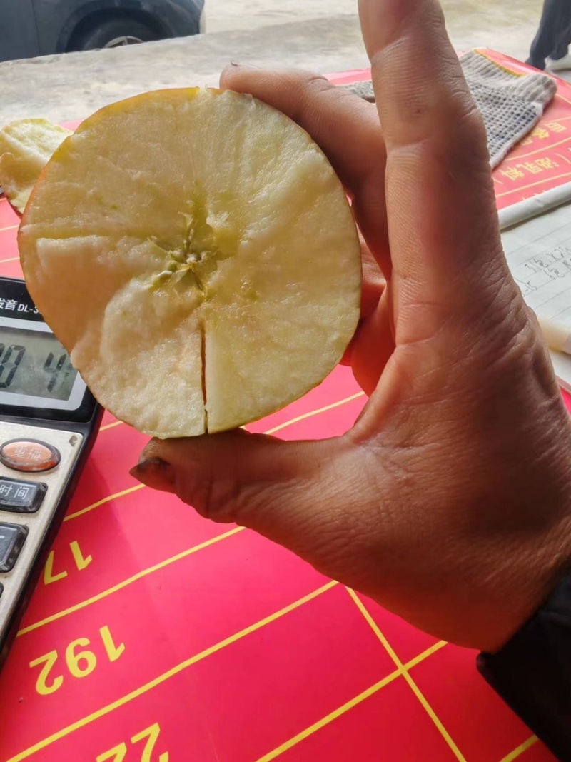 糖心红富士苹果糖心苹果产地直销一手货源可视频