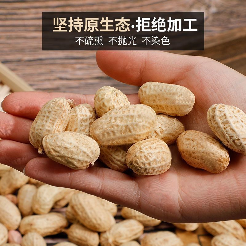 云南红河白沙花生，人工挑选个大饱满，长期大量供货保质保量