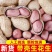 云南红河白沙花生，人工挑选个大饱满，长期大量供货保质保量