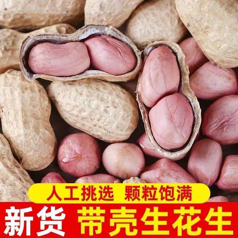 云南红河白沙花生，人工挑选个大饱满，长期大量供货保质保量