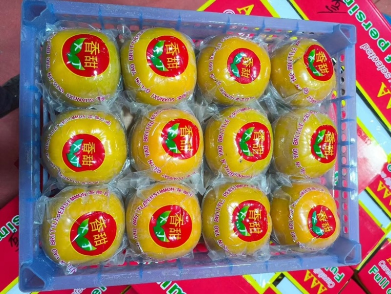 脆柿桂林市脆柿香甜柿子，产地直销量大价优可市场可电商