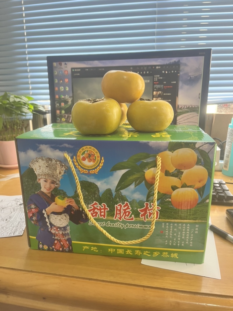 脆柿桂林市脆柿香甜柿子，产地直销量大价优可市场可电商