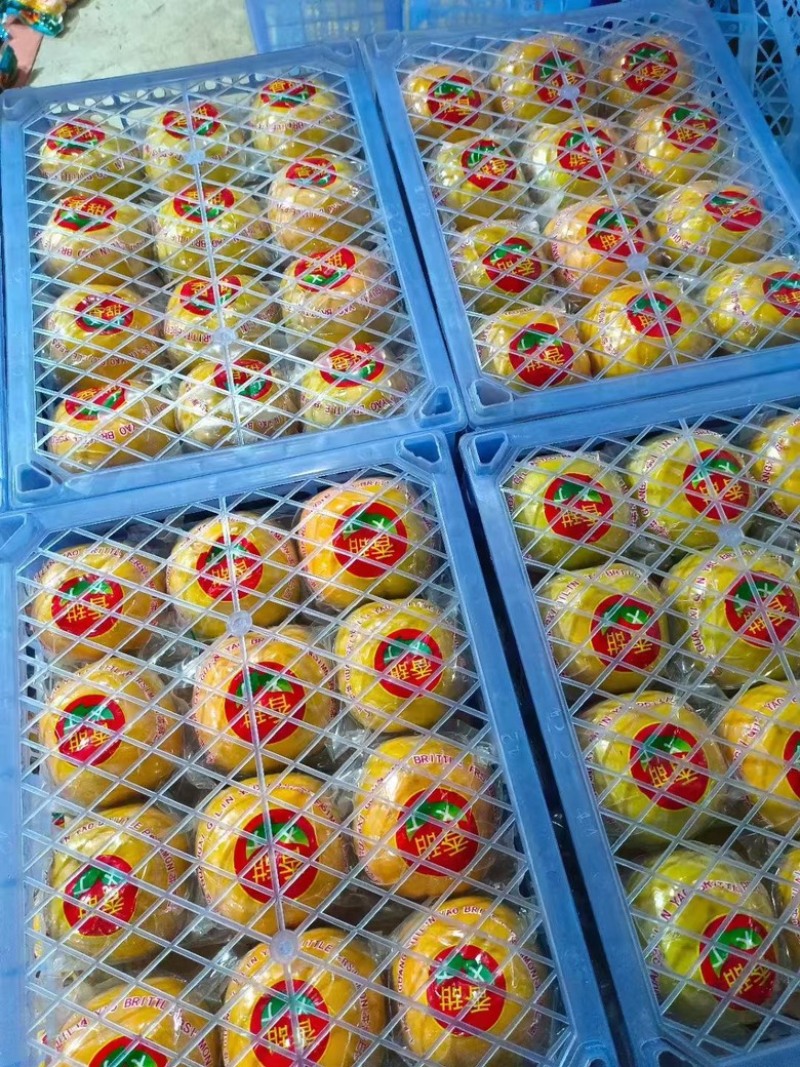 脆柿桂林市脆柿香甜柿子，产地直销量大价优可市场可电商