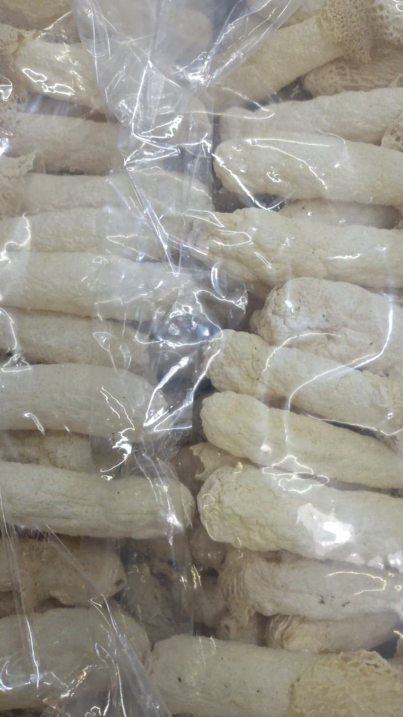 宁夏菌业大量批发贵州竹荪有需要的朋帮我拿一点