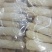 宁夏菌业大量批发贵州竹荪有需要的朋帮我拿一点