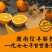 赣南脐橙，精品包装，70mm-95mm规格，现摘现发。
