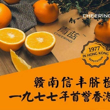 赣南脐橙，甘甜多汁，源头供应，各种规格和包装，欢迎咨询。