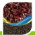野生西瓜籽嫁接西瓜专用砧木种子一市斤抗病能力强西瓜甜度高