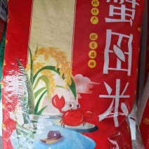 东北2024年梅河口小粒香大米