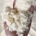 新鲜豆渣