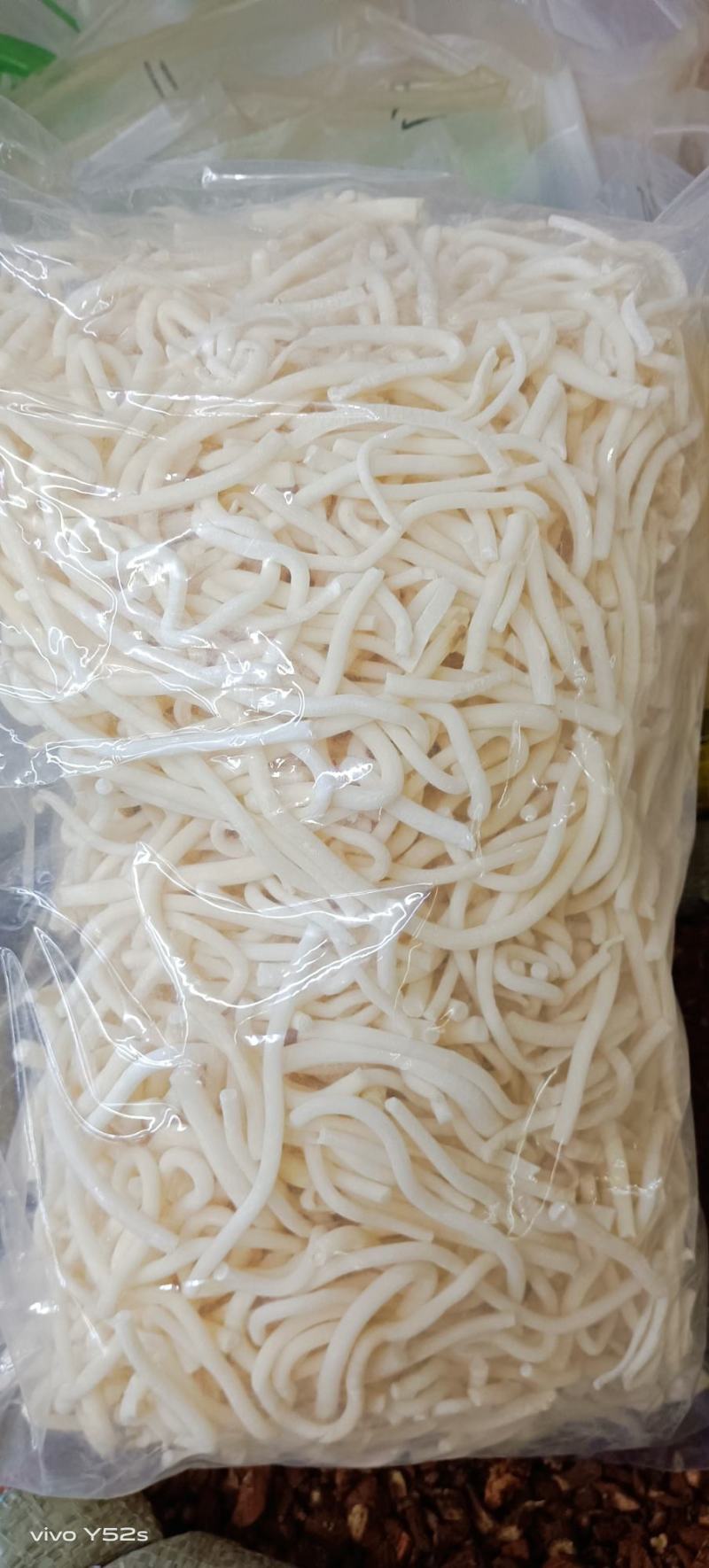 通草，量大丛优