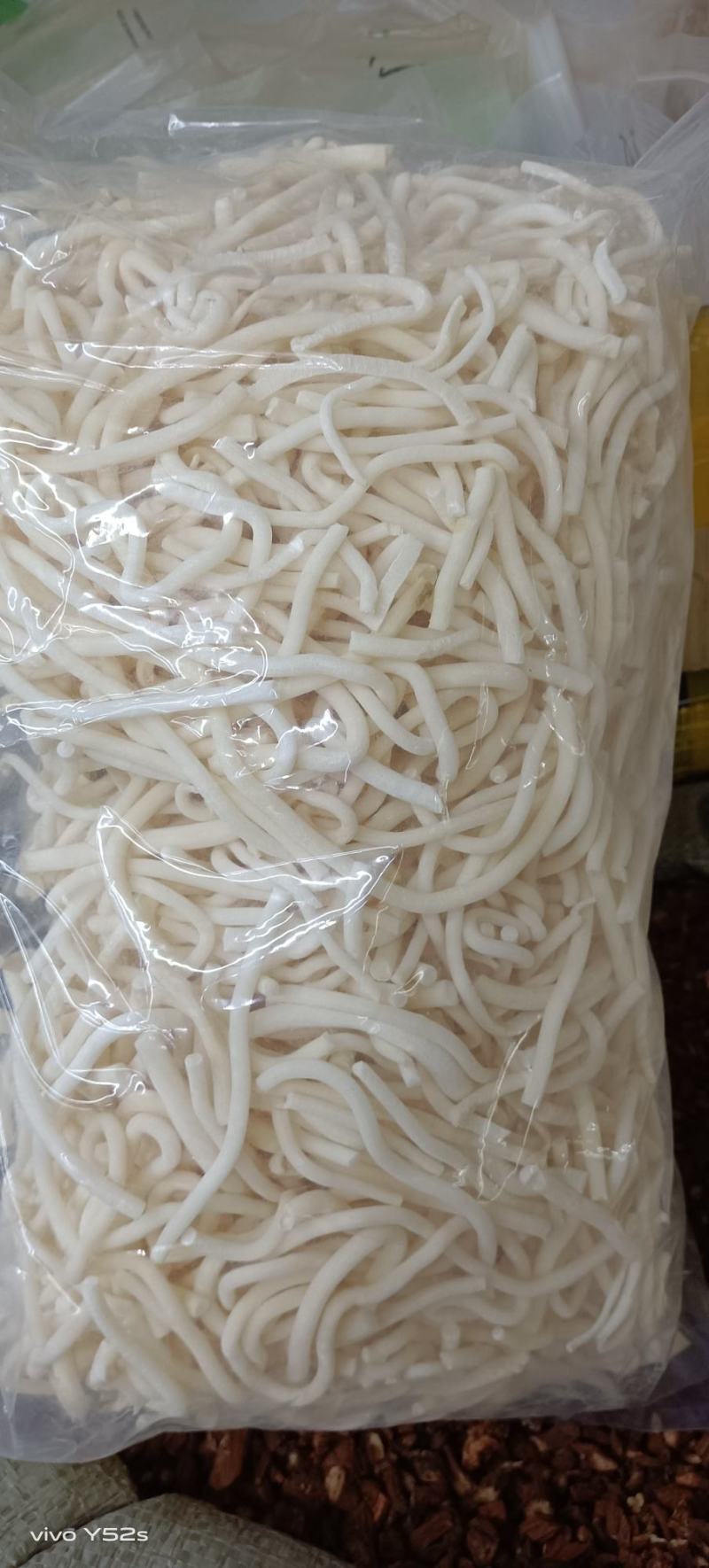 通草，量大丛优