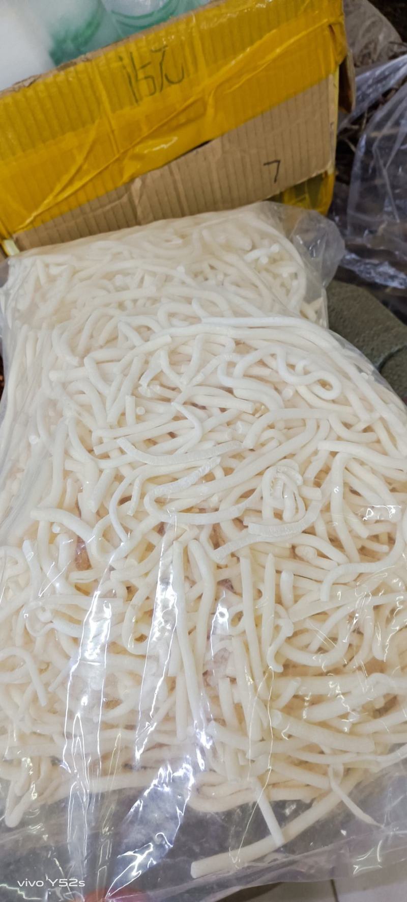 通草，量大丛优
