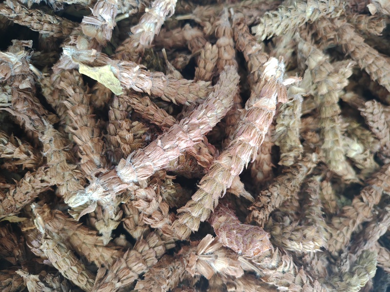 夏枯草全系列保质保量对接全国量大从优夏枯球