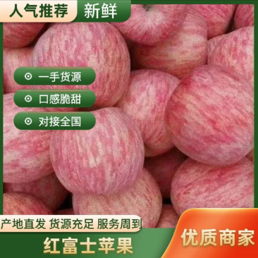 烟台栖霞早熟红富士大量上市,口感脆甜需要的老板电话联系