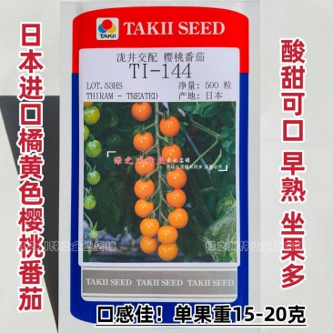 TI-144橘黄色樱桃番茄种子进口樱桃番茄酸甜水果番茄种