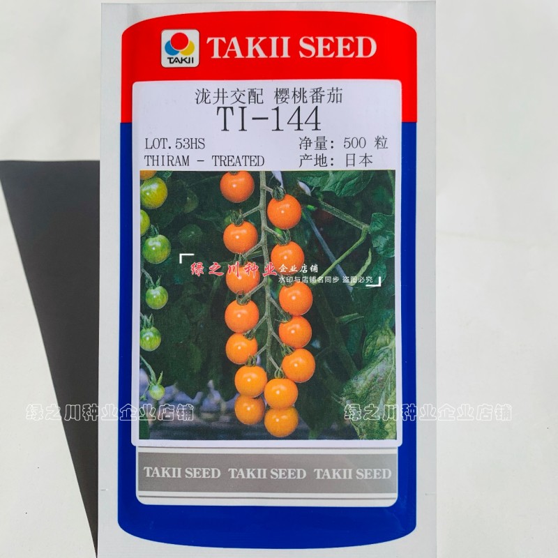 TI-144橘黄色樱桃番茄种子进口樱桃番茄酸甜水果番茄种