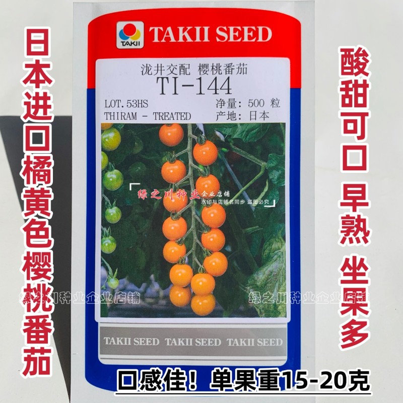 TI-144橘黄色樱桃番茄种子进口樱桃番茄酸甜水果番茄种