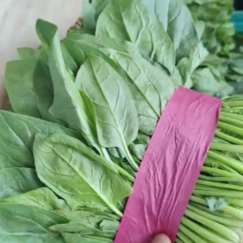 精品菠菜