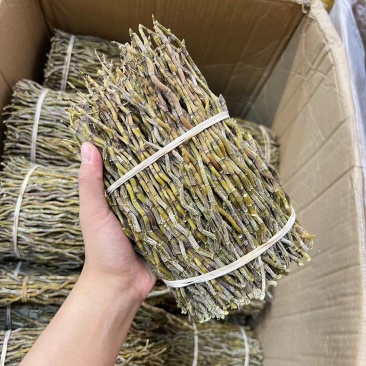 铁皮石斛条基地一手货源直发，品质保证，欢迎来电洽谈合作