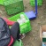 正宗库尔勒香梨自产自销