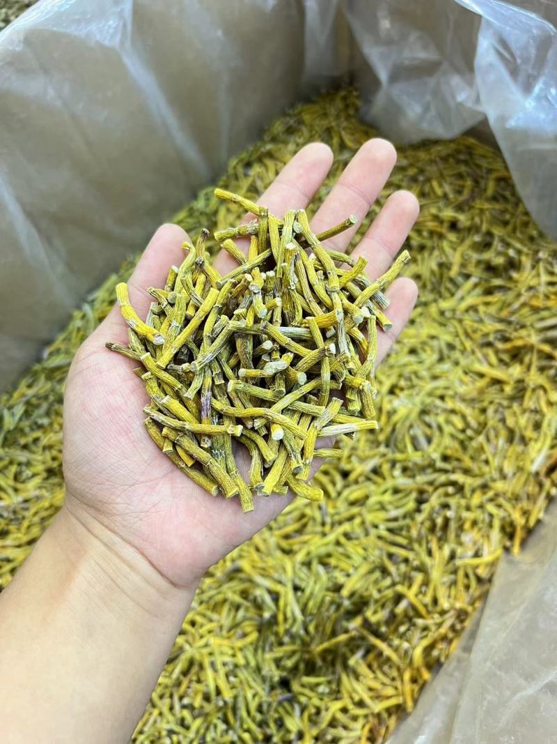 黄金铁皮石斛寸条一手货源，量大从优，品质保证欢迎电联