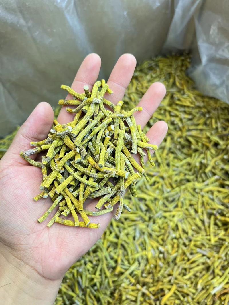 黄金铁皮石斛寸条一手货源，量大从优，品质保证欢迎电联
