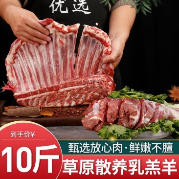 羊排，精选羊羔肉
