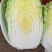 【热卖】黄心白菜湖北精品白菜产地直发保质保量可视频