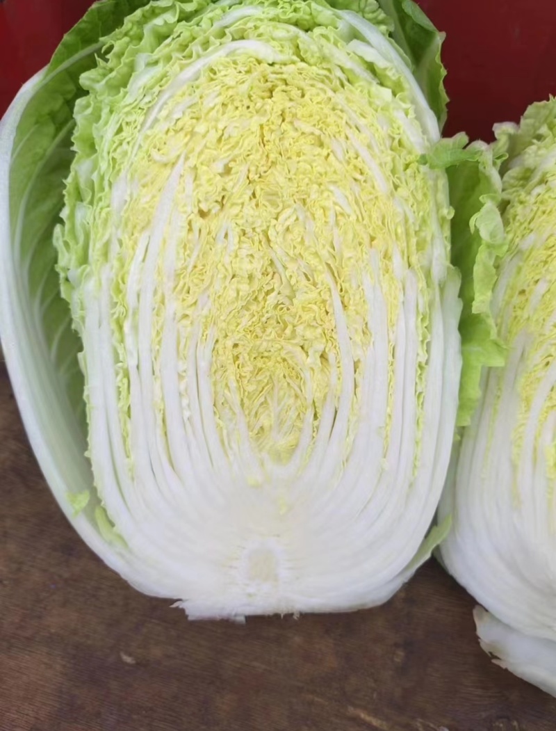 【热卖】黄心白菜湖北精品白菜产地直发保质保量可视频