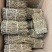 铁皮石斛条基地一手货源直发，品质保证，欢迎来电洽谈合作